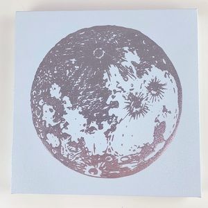 Light Blue Canvas w/ Silver Moon